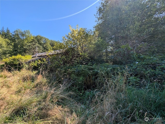 view of nature with a wooded view
