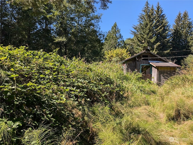 view of yard with a shed