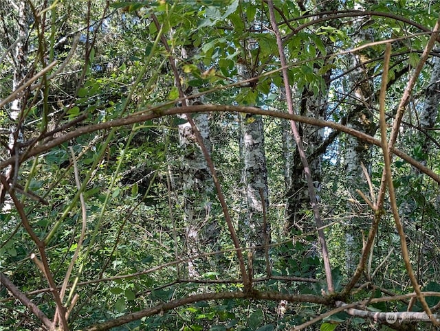 view of nature