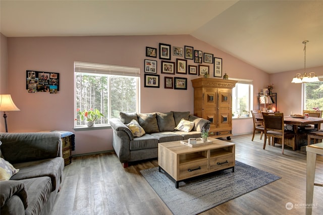 living room featuring hardwood / wood-style floors, plenty of natural light, and vaulted ceiling