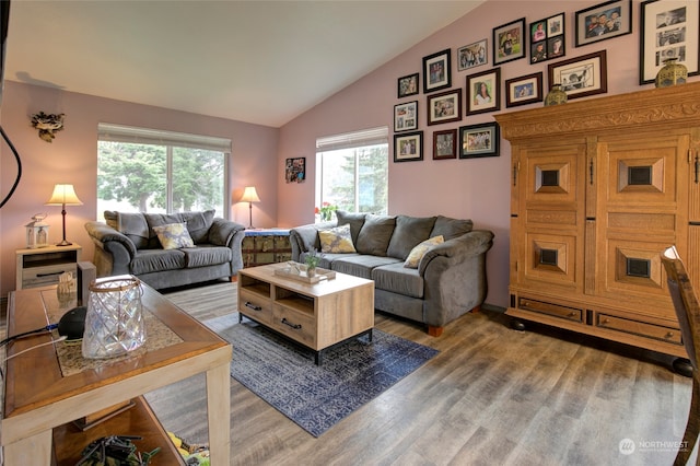 living room with hardwood / wood-style floors, a wealth of natural light, and vaulted ceiling