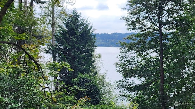 7099 Wilson Creek Rd SE, Port Orchard, WA 98367 - photo 5