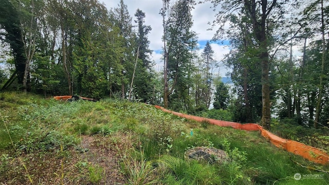 7099 Wilson Creek Rd SE, Port Orchard, WA 98367 - photo 11