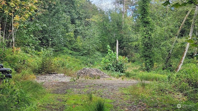7099 Wilson Creek Rd SE, Port Orchard, WA 98367 - photo 7