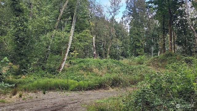 7099 Wilson Creek Rd SE, Port Orchard, WA 98367 - photo 8