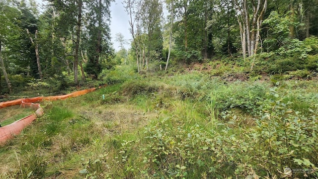 7099 Wilson Creek Rd SE, Port Orchard, WA 98367 - photo 15