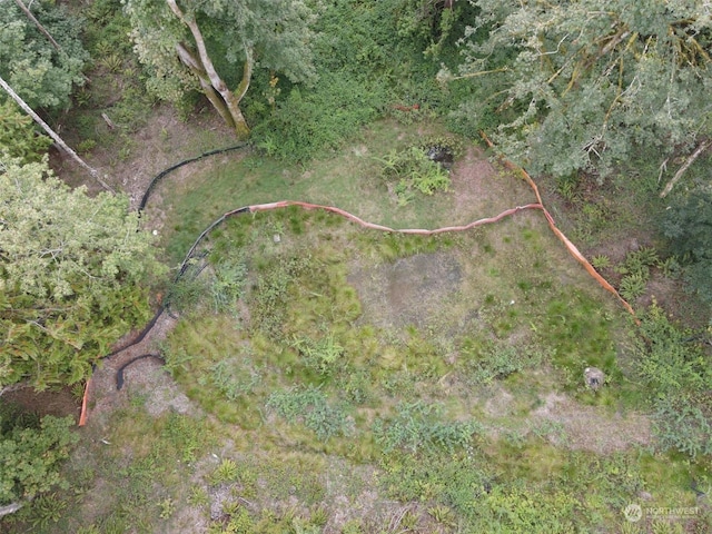 7099 Wilson Creek Rd SE, Port Orchard, WA 98367 - photo 23