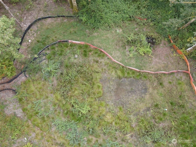 7099 Wilson Creek Rd SE, Port Orchard, WA 98367 - photo 24