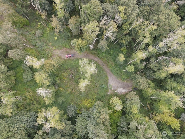 7099 Wilson Creek Rd SE, Port Orchard, WA 98367 - photo 25