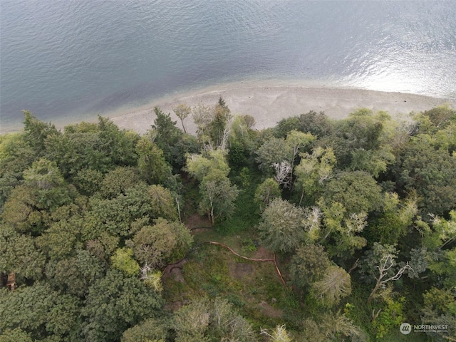 7099 Wilson Creek Rd SE, Port Orchard, WA 98367 - photo 27
