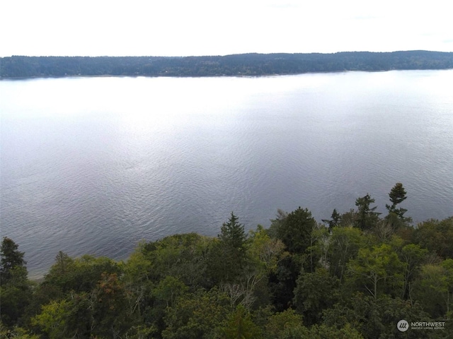 7099 Wilson Creek Rd SE, Port Orchard, WA 98367 - photo 28