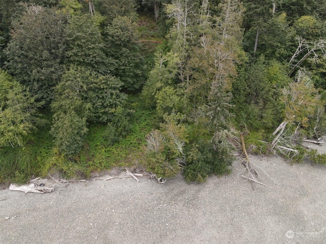 7099 Wilson Creek Rd SE, Port Orchard, WA 98367 - photo 31