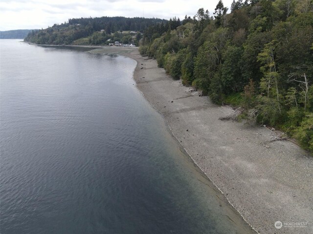 7099 Wilson Creek Rd SE, Port Orchard, WA 98367 - photo 33