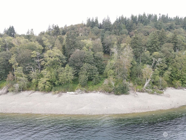 7099 Wilson Creek Rd SE, Port Orchard, WA 98367 - photo 30