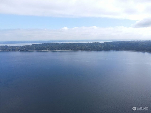 7099 Wilson Creek Rd SE, Port Orchard, WA 98367 - photo 35