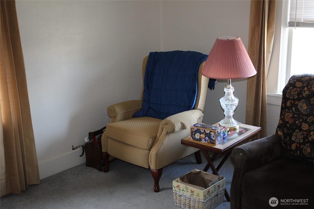 403 S Alder St, Odessa, WA 99159 - living area featuring plenty of natural light and carpet floors
