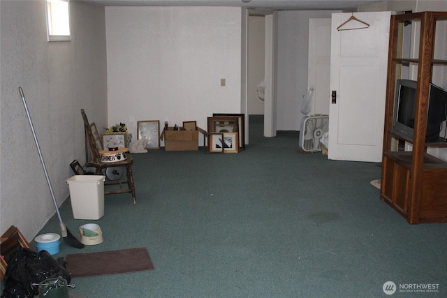 403 S Alder St, Odessa, WA 99159 - below grade area with carpet flooring