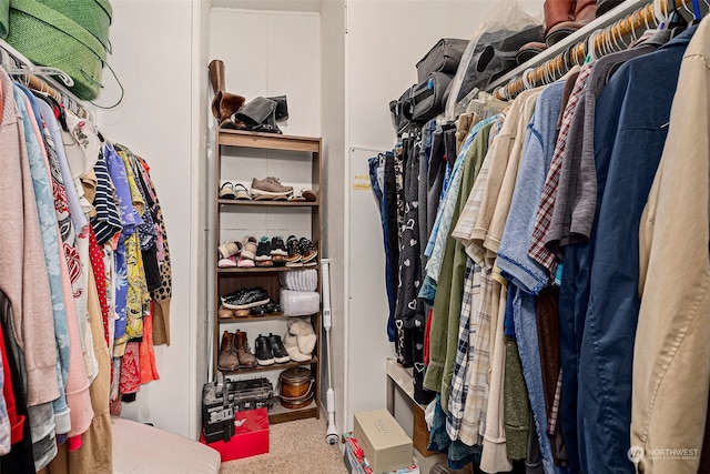 walk in closet featuring carpet flooring