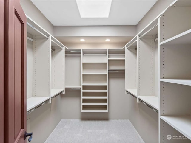 walk in closet with carpet floors