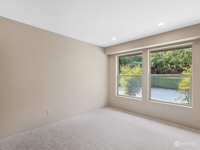 carpeted empty room with a wealth of natural light