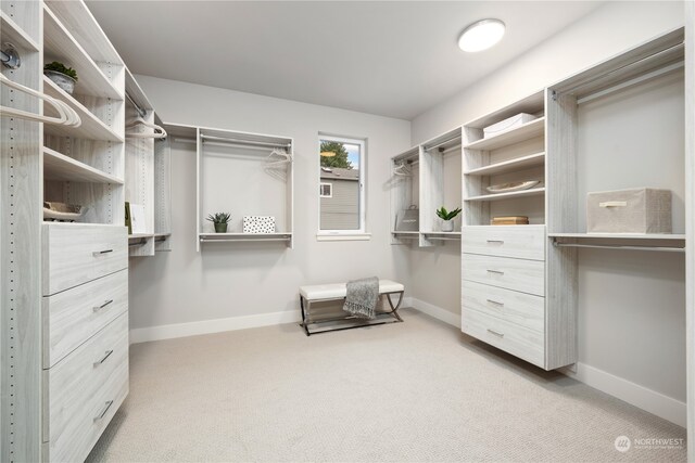 spacious closet with light carpet