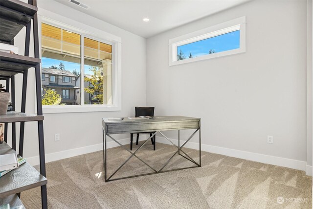 carpeted home office featuring plenty of natural light