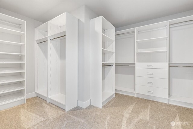 walk in closet featuring light carpet