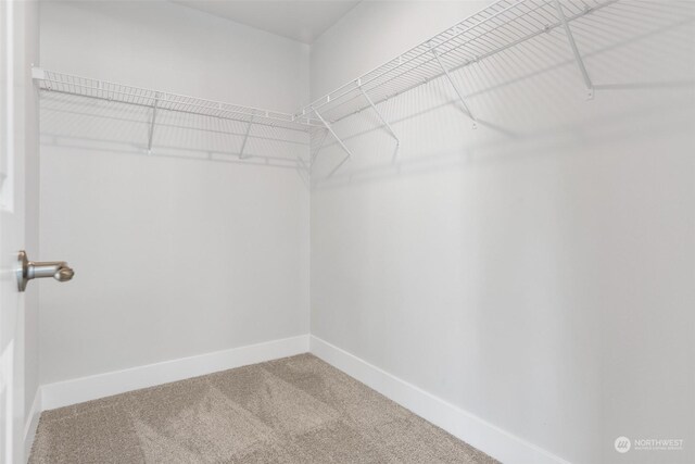 spacious closet with carpet flooring