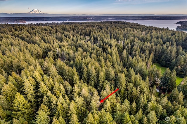 birds eye view of property with a water and mountain view