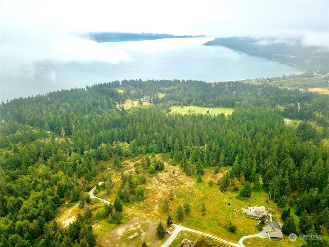 835 Ellwood Dr, Coupeville, WA 98239 - photo 1