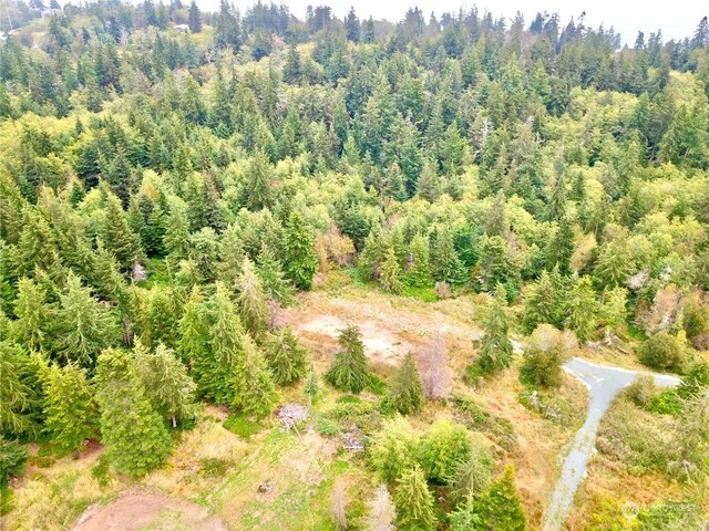 835 Ellwood Dr, Coupeville, WA 98239 - photo 5