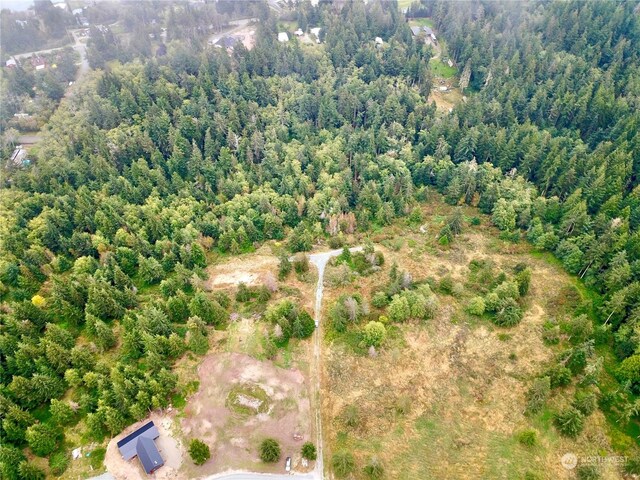835 Ellwood Dr, Coupeville, WA 98239 - photo 9
