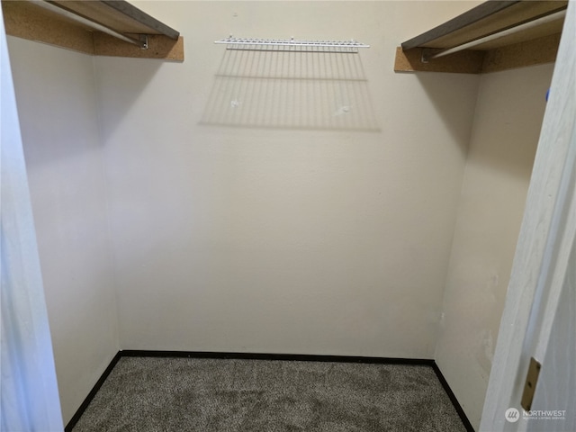 spacious closet featuring dark colored carpet