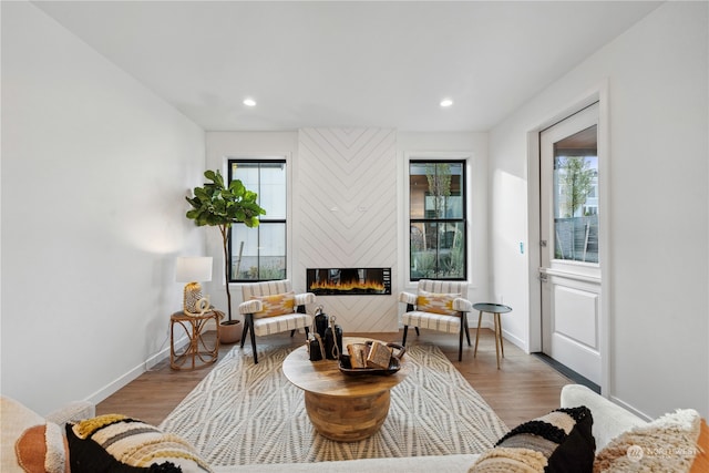 living room with a large fireplace and wood-type flooring