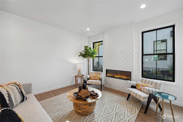 living room featuring a large fireplace and light hardwood / wood-style flooring