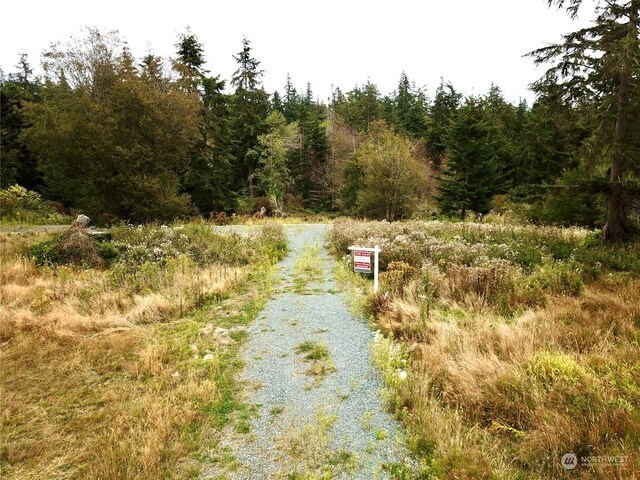 0LOT1 Ellwood, Coupeville, WA 98239 - photo 3