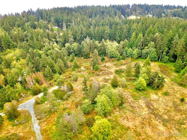 0LOT1 Ellwood, Coupeville, WA 98239 - photo 6