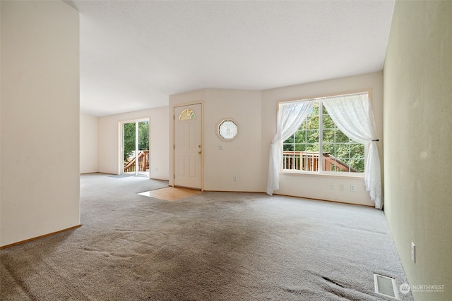 unfurnished living room featuring a wealth of natural light, light carpet, and a textured ceiling