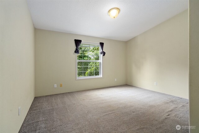 spare room with a textured ceiling and carpet