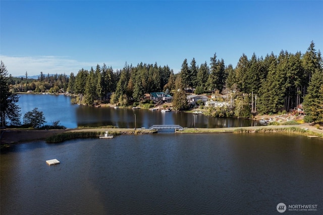 11 SE Fuchsia Ave, Shelton, WA 98584 - water view featuring a forest
