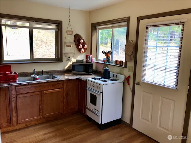 kitchen with hardwood / wood-style floors, white gas stove, and a healthy amount of sunlight