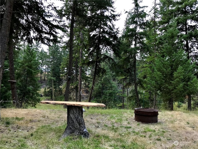 view of yard featuring a fire pit and a view of trees
