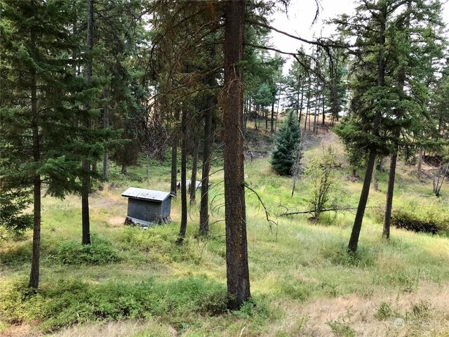 view of yard featuring an outbuilding