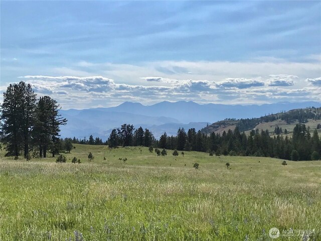 1111 Nine Mile Rd, Oroville, WA 98844 - photo 8