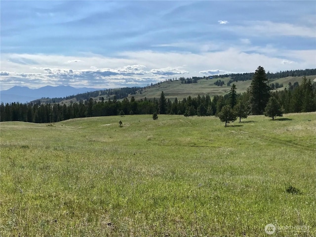 1111 Nine Mile Rd, Oroville, WA 98844 - photo 12