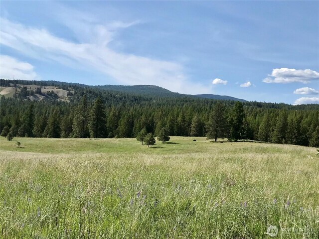 1111 Nine Mile Rd, Oroville, WA 98844 - photo 11