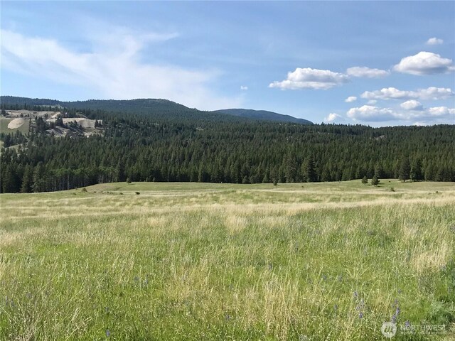 1111 Nine Mile Rd, Oroville, WA 98844 - photo 10