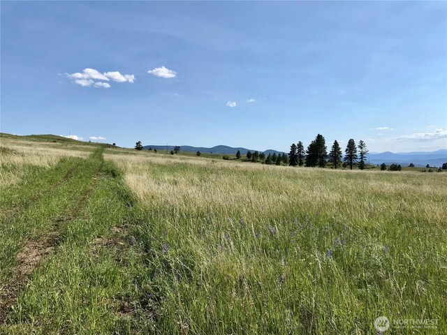 1111 Nine Mile Rd, Oroville, WA 98844 - photo 14