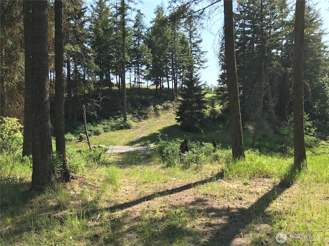 1111 Nine Mile Rd, Oroville, WA 98844 - photo 13