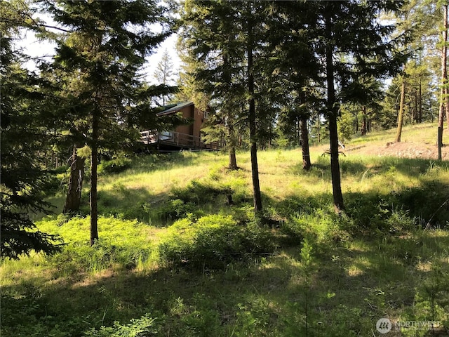 1111 Nine Mile Rd, Oroville, WA 98844 - photo 35